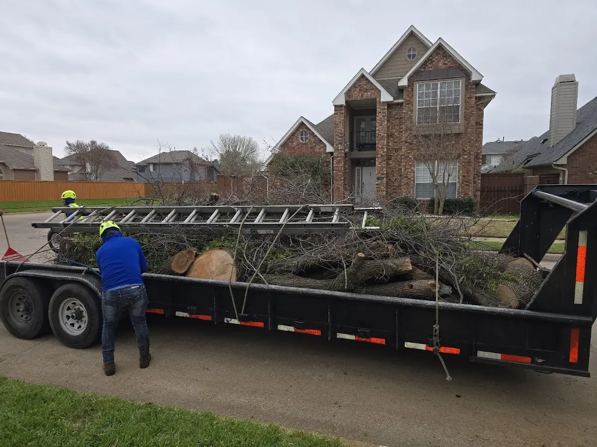 Expert Tree Pest Control with proper safety equipment in Guysville